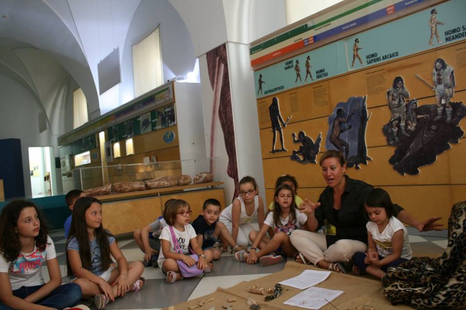 L'Alca Museo e Biblioteca Comunali di Maglie