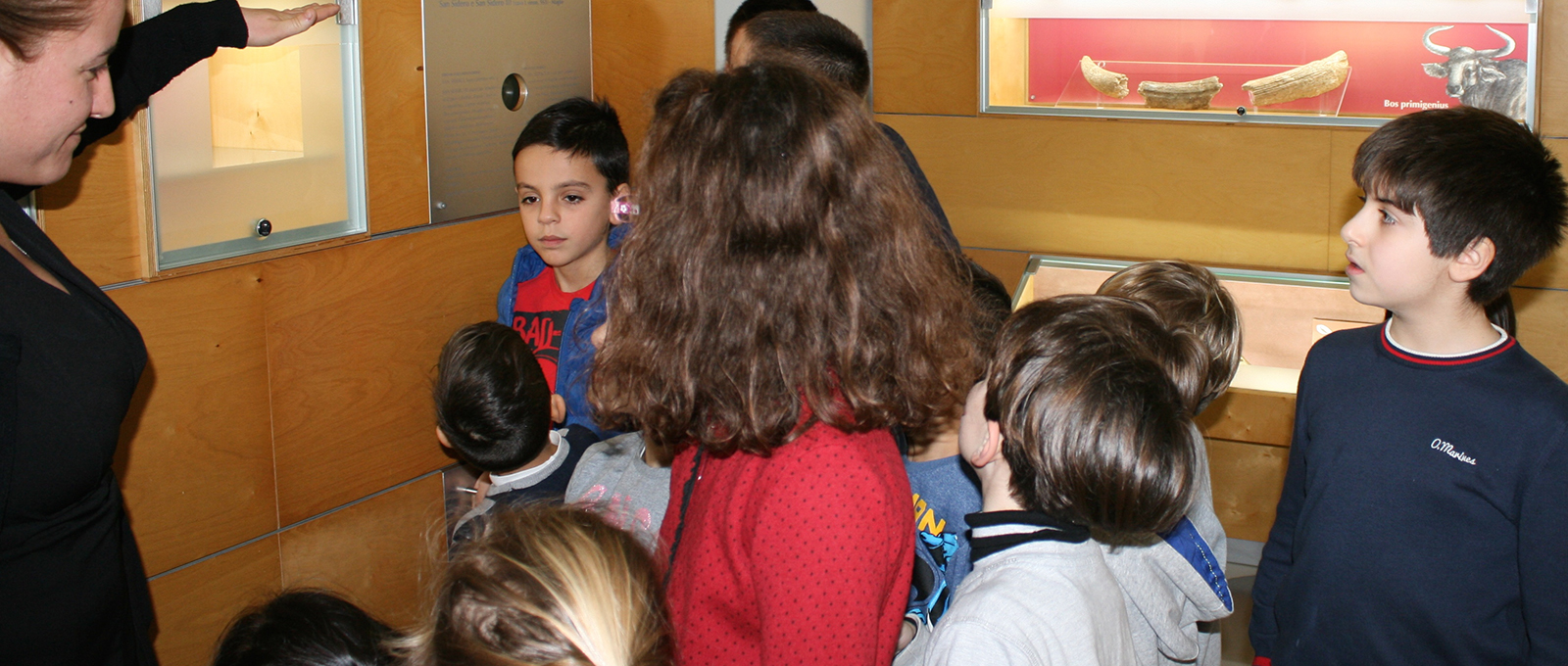 Museo 2