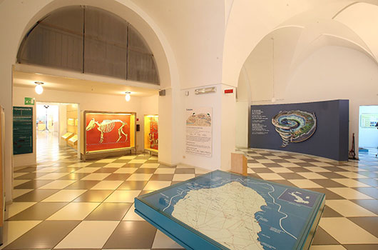 Esposizioni