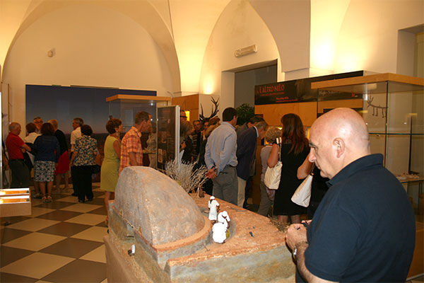 Servizi del Museo